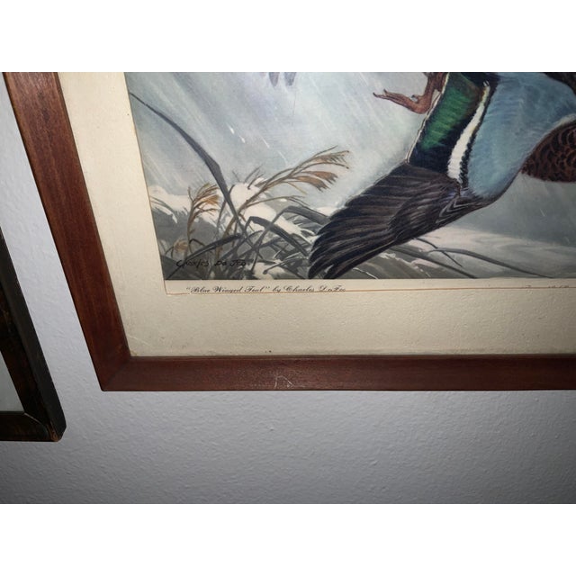 Coffee 1917 Vintage DuPont Promotional Game Bird Framed Prints by Hunt & DeFeo - Set of 4 For Sale - Image 8 of 13