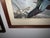 Coffee 1917 Vintage DuPont Promotional Game Bird Framed Prints by Hunt & DeFeo - Set of 4 For Sale - Image 8 of 13