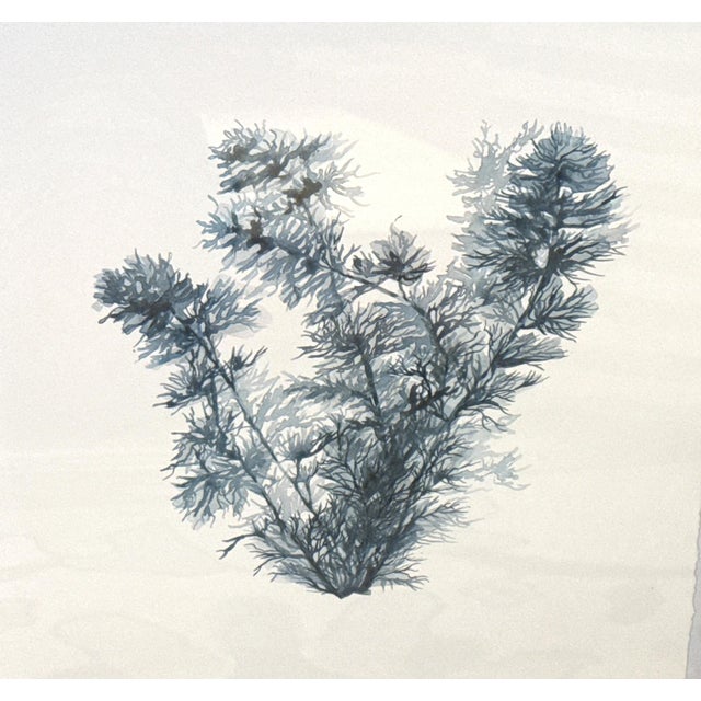 Beach / Coastal Art Prints - Set of 2 For Sale In New York - Image 6 of 11