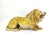 Black Italian Glazed Terracotta Lion Sculpture, 1960s For Sale - Image 8 of 10