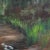 Realism Lornes Pond With Yarrow - Nature Landscape Romantic Realism Original Artwork by Amber Young For Sale - Image 3 of 9