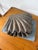 Vintage Brutalist Box in Wood and Seashell, 1960s For Sale - Image 14 of 18