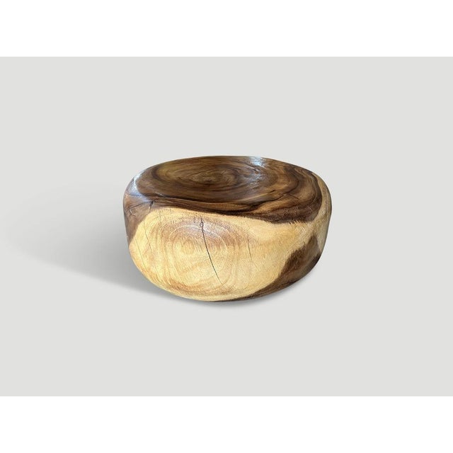 2010s Andrianna Shamaris Impressive Drum Style Solid Wood Coffee Table For Sale - Image 5 of 6