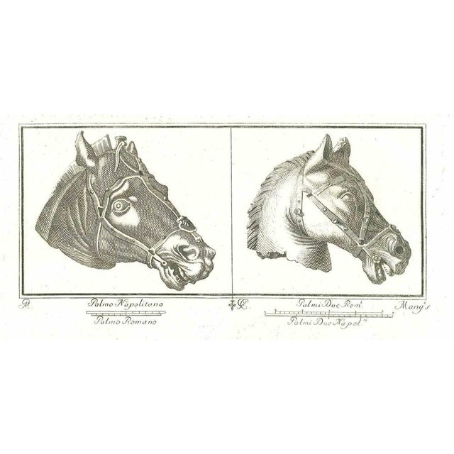 Ancient roman bas-reliefs, from the series "antiquities of herculaneum", is an original etching on paper realized by an...