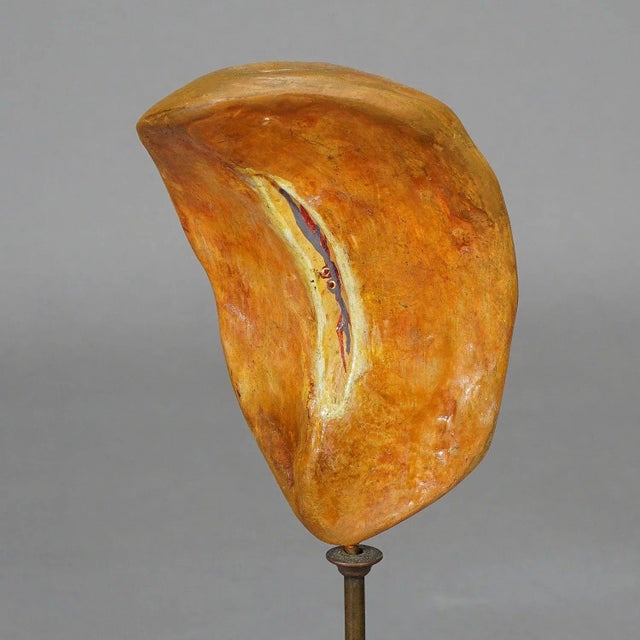 Antique Teaching Model of the Adipose Spleen, 1900s For Sale - Image 3 of 7