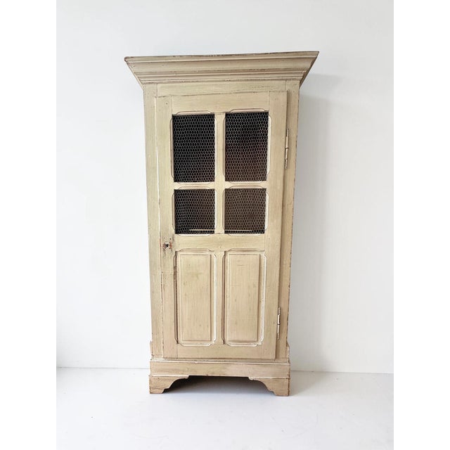 19th-Century French Provincial Painted Wire-Mesh Armoire For Sale - Image 18 of 18