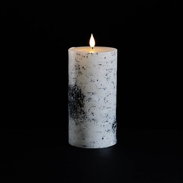Kenneth Ludwig Chicago FIA Wick Birch Design Pillar Candle (Set of 2) For Sale - Image 4 of 5