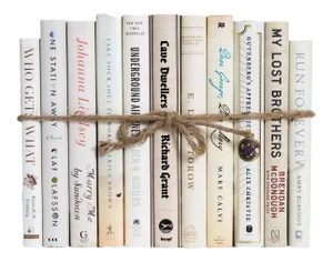 Decorative Books - Sand Dust Jacket Books - Off White Books By The Foot