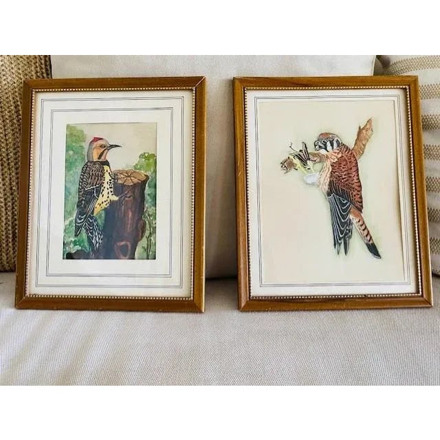 Mid 20th Century Original Bird Watercolors, Vintage, A Pair For Sale In Miami - Image 6 of 11