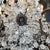 Metal Italian Beaded Crystal 10-Light Dining Room Chandelier, 1950s For Sale - Image 7 of 15