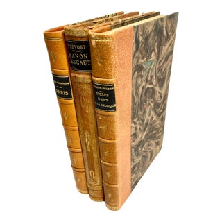 Early 20th Century Antique French Leather Bound Books - Set of 3 For Sale