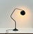 Metal Flamingo Table Lamp by Franz Hagenauer for Werkstätte Hagenauer Wien, Austria, 1940s For Sale - Image 7 of 18