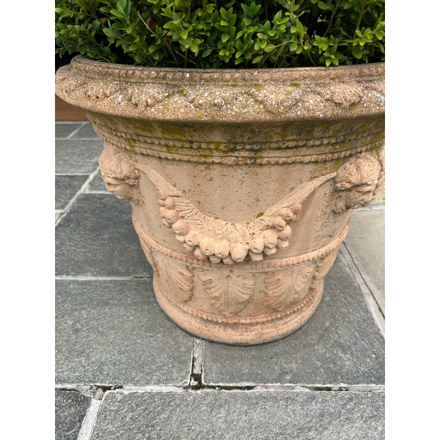 Tuscan Classic Tuscan Terracotta Planter With Embossed Decoration For Sale - Image 3 of 7