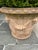 Tuscan Classic Tuscan Terracotta Planter With Embossed Decoration For Sale - Image 3 of 7