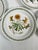 1972 Portmeirion Botanic Garden Dinner Plates- Set of 12 For Sale - Image 9 of 12