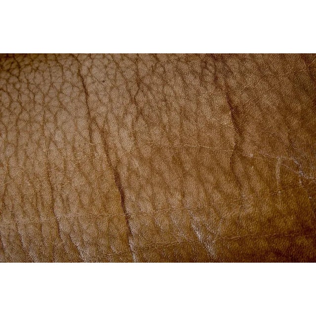 DS47 3-Seater in Bullhide Neckleather from de Sede For Sale - Image 9 of 13