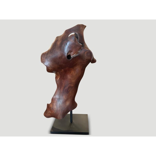 Andrianna Shamaris Ancient Wood Torso For Sale - Image 10 of 18