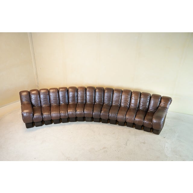 DS600 Non-Stop Snake Sofa in Brown Leather by Ueli Berger for de Sede, 1970s, Set of 16 For Sale - Image 14 of 18