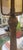 Metal Antique Slag Glass Table Lamp For Sale - Image 7 of 11