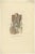 Anatomy Illustrations of Vessels and the Lymphatic System, 1839, Prints, Set of 13 For Sale - Image 10 of 15
