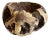 1970s Rustic Burl Wood Vessel For Sale