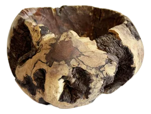 1970s Rustic Burl Wood Vessel