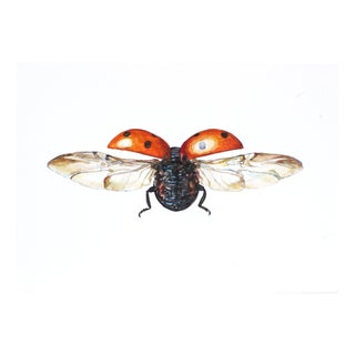 Juris Utans, Ladybug in Flight II, 2021, Mixed Media on Paper For Sale