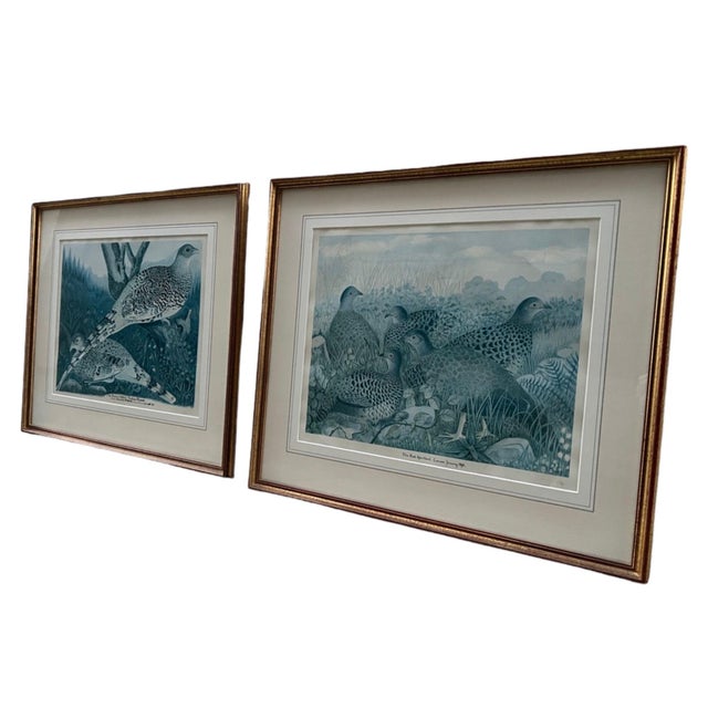 Watercolors by Major General Charles Ferguson Sharpe, 1833-1903. Reproduced by permission of The Zoological Society of...