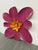 Folk Art Pat & Andre Juneau Metal Flower Wall Sculpture, Extra Large For Sale - Image 3 of 12