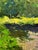 2020s Oil Painting a Walk Through the Evening Forest Boris Serdyuk For Sale - Image 5 of 11