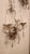 Early 20th Century Early 20th Century Metal and Glass Sconces Maison Bagues Style - Set of 2 For Sale - Image 5 of 7