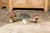 Mid 20th Century Set of Three American Midcentury Painted Concrete Mushroom Garden Ornaments For Sale In Atlanta - Image 6 of 12