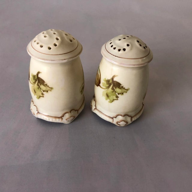Antique Art Nouveau Silesia "Old Ivory" Pattern Salt & Pepper Shakers- a Pair For Sale - Image 4 of 6