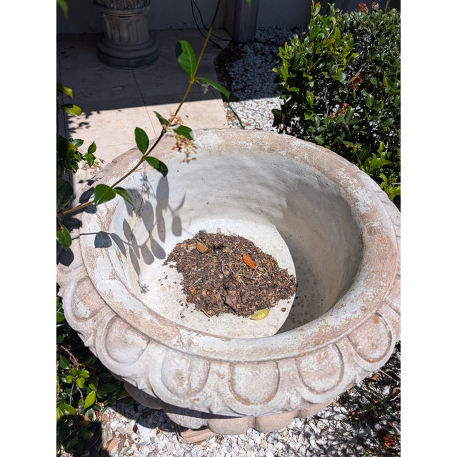 English 1960s Large Concrete Garden Urn/Planter For Sale - Image 3 of 6
