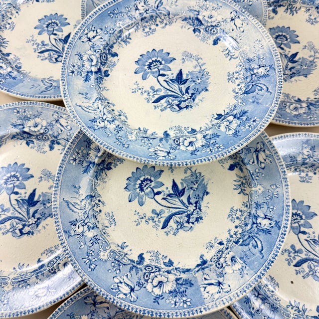 English Elkin & Newbon English Botanical Beauties Dinner Plates, Set of Eight For Sale - Image 3 of 15
