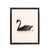 This vintage Black Swan print is elegant and classy. Restored from the original 19th Century engraving and printed on...