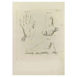 Jean François Poletnich, Hands and Feet, Etching, 1755 For Sale
