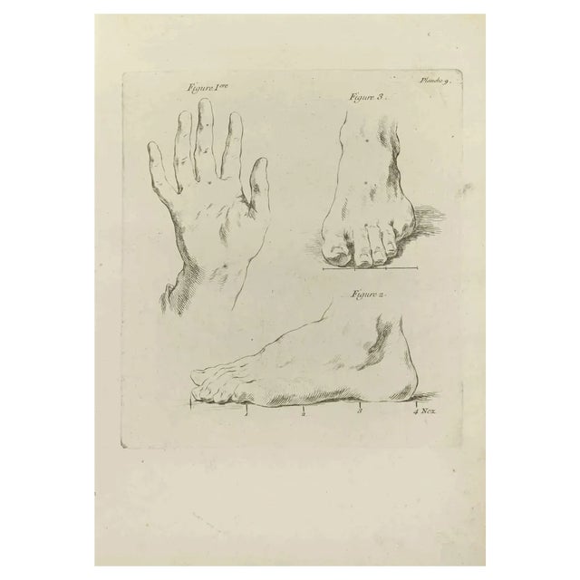 Jean François Poletnich, Hands and Feet, Etching, 1755 For Sale