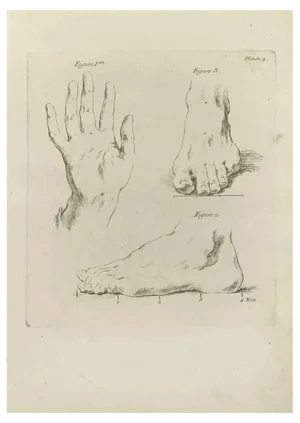Jean François Poletnich, Hands and Feet, Etching, 1755