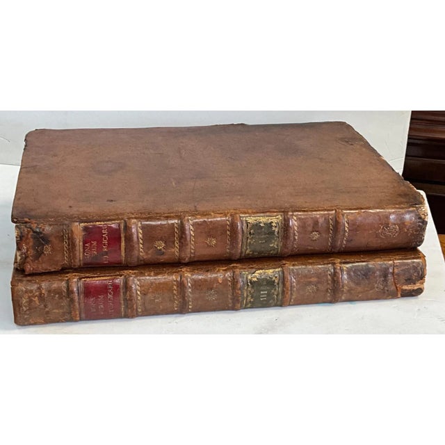 18th-C. Georgian Large Scale Leather & Faux Marble Latin Religious Books for a Library / Office / St For Sale - Image 10 of 10