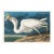 Great White Heron, Vintage Art Print Reproduction From Birds of America by John James Audubon, 24" X 16" For Sale