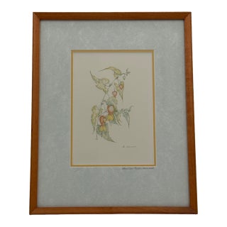 Margot Weemaes 1981 Abutilon Megapotamicum Botanical Portfolio Print For Sale