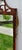 Antique Chippendale Mahogany Mirror Wall Fretwork Gilt Shell Accents For Sale - Image 10 of 15