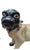 20th Century Painted Terracotta Pug Dogs, Italy, 1950s, Set of 2 For Sale - Image 9 of 18