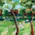 Harlequin In the Woods Wallpaper in Sky/Emerald/Carnelian For Sale