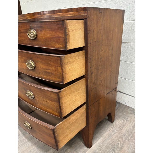 Brown Antique Federal Hepplewhite Style Bowfront Mahogany Chest Dresser For Sale - Image 8 of 11