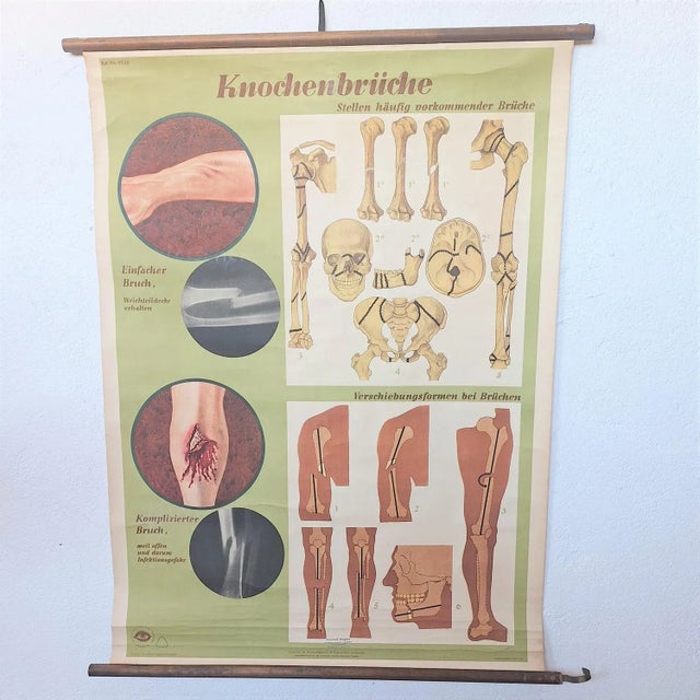 Vintage School Poster, 1930s For Sale - Image 6 of 6