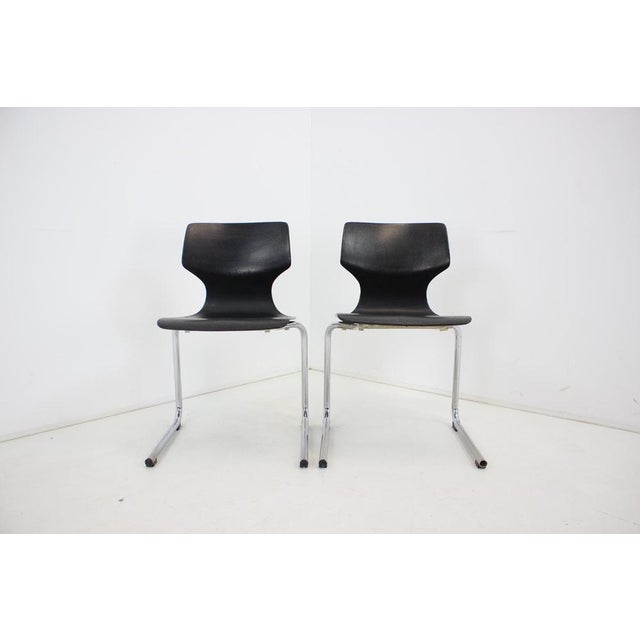 1980s Set of Mid-Century Pagwood Chairs attributed to Flototto for Flötotto, 1980 For Sale - Image 5 of 17