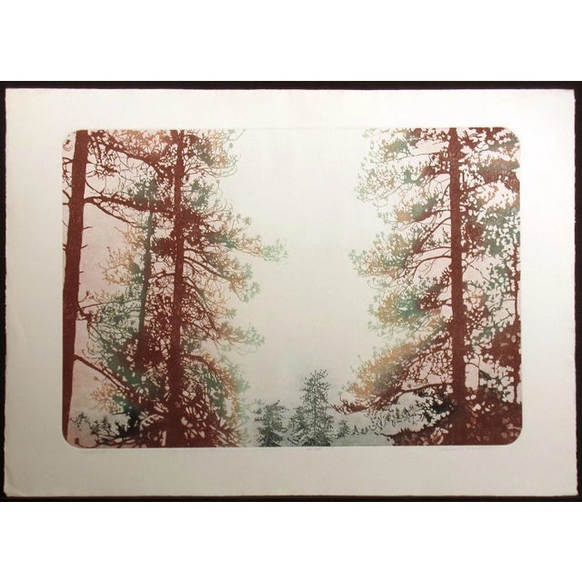 1990s Catherine Ruane O'Connor "Olympia II" Signed Numbered Etching Pine Trees For Sale - Image 5 of 5