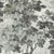 Zoffany Richmond Park Wallpaper in Charcoal For Sale